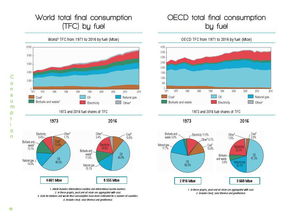 互联网数据资讯中心199it 引领数据服务新时代