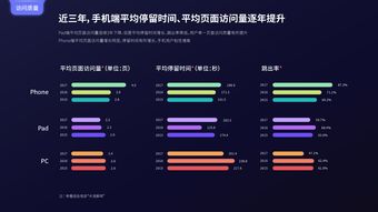 互联网用户与数据中心 199IT在互联网数据服务中的角色